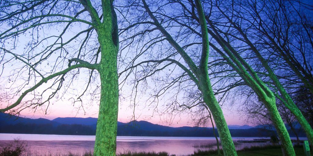 Pla de L’Estany, Lago De Banyoles