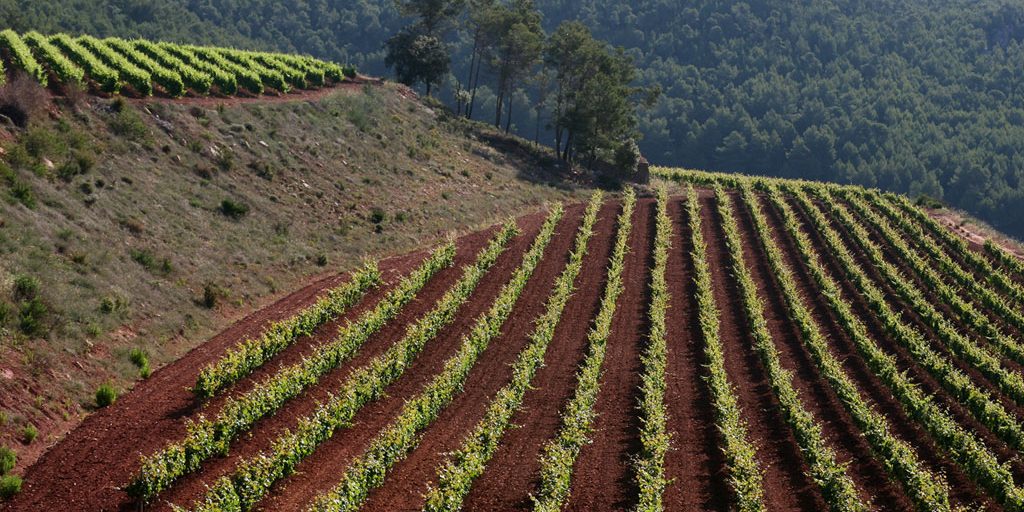 Penedes La Juncosa de MontMell