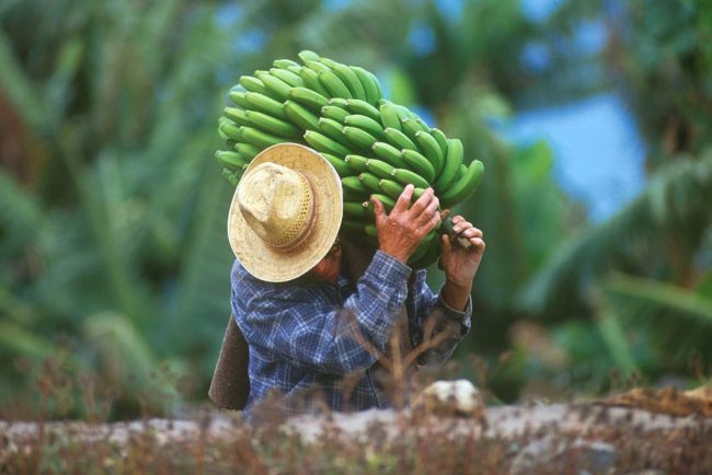 España, Canarias, La Gomera