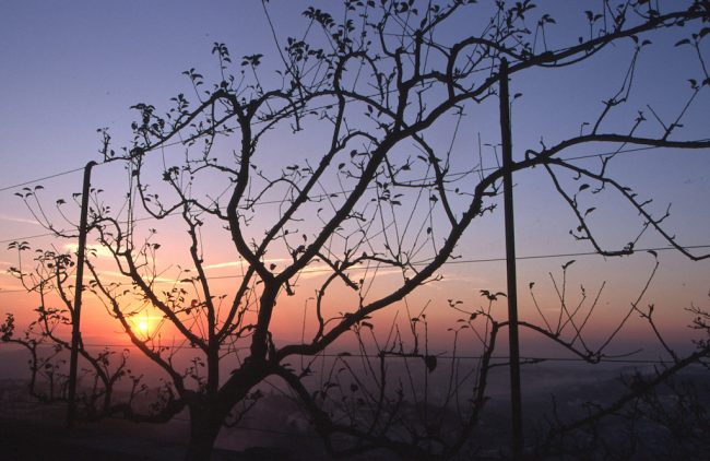 Costa Verde, Braga, Bom Jesús do Monte, Puesta de sol
