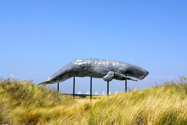 Holanda, Zelanda, Burg-Haamstede, Parque Acuático Neetlje Jans, escultura de ballena, animal