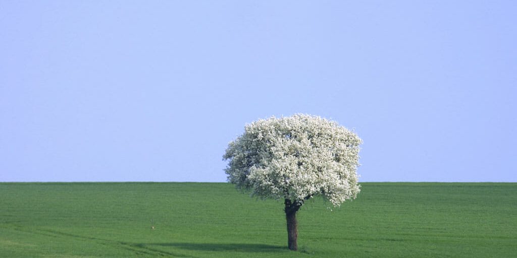 Francia, Berry, Pays Fort, Paisaje