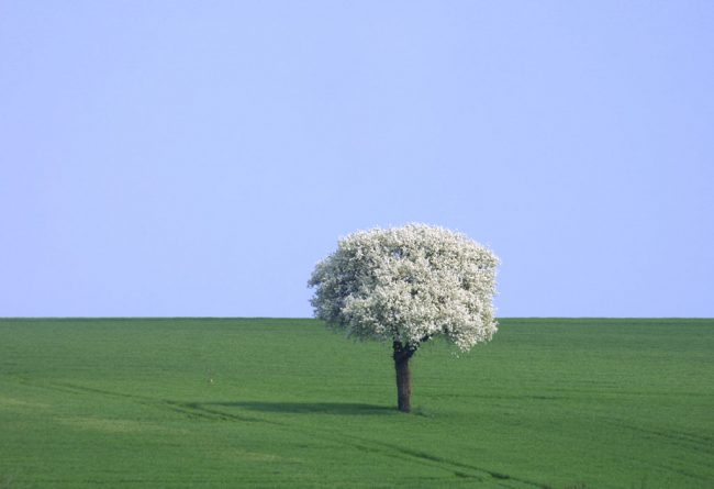 Francia, Berry, Pays Fort, Paisaje