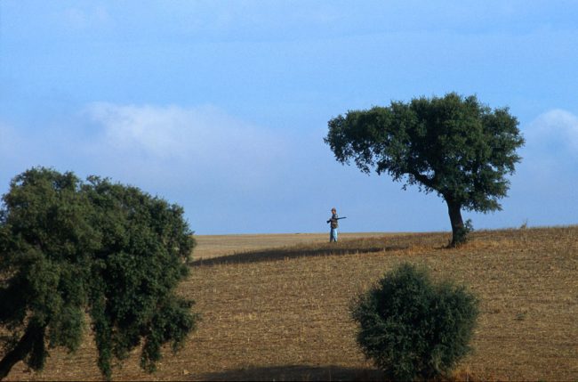Alentejo